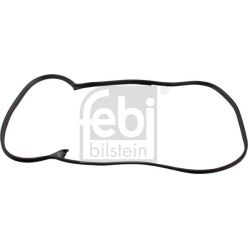 durų sandariklis
                                FEBI BILSTEIN                                                08875, FEBI BI