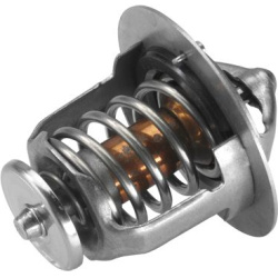 termostatas, aušinimo skystis
                                BorgWarner (Wahler)                                410181.82D,