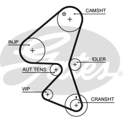 paskirstymo diržas PowerGrip™
                                GATES                                                5598XS,