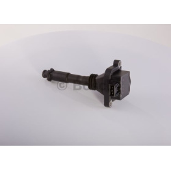 Ritė, uždegimas
                                BOSCH                                                0221504006, BOSCH, 022