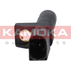 Daviklis alkūninio veleno padėties
                                KAMOKA                                                10