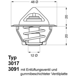 termostatas, aušinimo skystis
                                BorgWarner (Wahler)                                           
