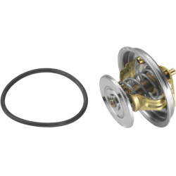 termostatas, aušinimo skystis
                                BorgWarner (Wahler)                                4078.79D, B