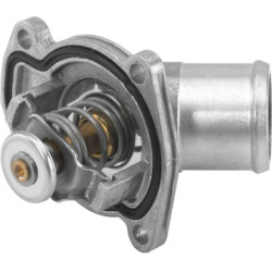termostatas, aušinimo skystis
                                BorgWarner (Wahler)                                4459.92D, B