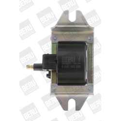 ritė, uždegimas
                                BorgWarner (BERU)                                                ZS 250, Bo