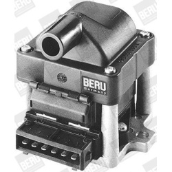 ritė, uždegimas
                                BorgWarner (BERU)                                ZSE 002, BorgWarner (BERU)