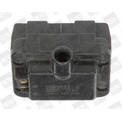 ritė, uždegimas
                                BorgWarner (BERU)                                                ZS 278, Bo