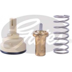 Termostatas, aušinimo skystis
GATES TH42687G1