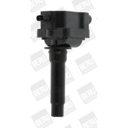 ritė, uždegimas
                                BorgWarner (BERU)                                                ZS 434, Bo