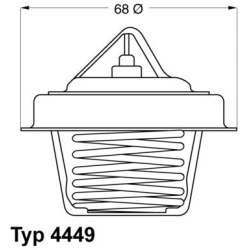 termostatas, aušinimo skystis
                                BorgWarner (Wahler)                                           