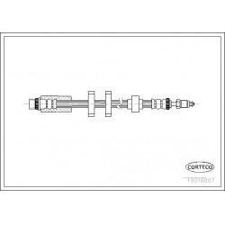stabdžių žarnelė
                                CORTECO                                                19018887, CORTECO