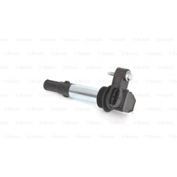ritė, uždegimas
                                BOSCH                                                0221604112, BOSCH, 022