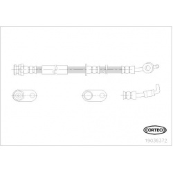 stabdžių žarnelė
                                CORTECO                                                19036372, CORTECO