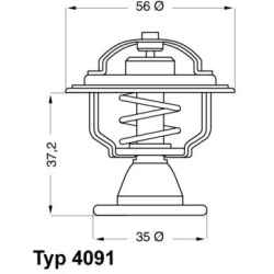 termostatas, aušinimo skystis
                                BorgWarner (Wahler)                                           