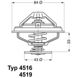 termostatas, aušinimo skystis
                                BorgWarner (Wahler)                                           