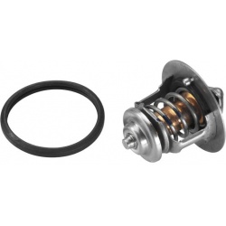 termostatas, aušinimo skystis
                                BorgWarner (Wahler)                                3477.88D, B