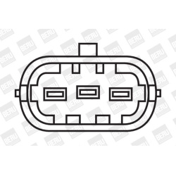 ritė, uždegimas
BorgWarner (BERU) ZS 031, Bo