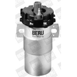 ritė, uždegimas
                                BorgWarner (BERU)                                ZS 126, BorgWarner (BERU),