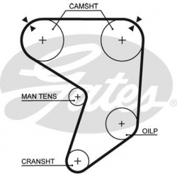 paskirstymo diržas PowerGrip™
                                GATES                                                5196, G