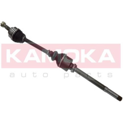 pusašis
                                KAMOKA                                                CT1138910, KAMOKA, CT1138910, 