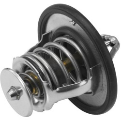 termostatas, aušinimo skystis
                                BorgWarner (Wahler)                                410180.82D,