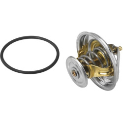 termostatas, aušinimo skystis
                                BorgWarner (Wahler)                                4235.80D, B