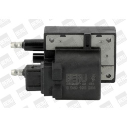 ritė, uždegimas
                                BorgWarner (BERU)                                                ZS 254, Bo