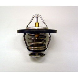 termostatas, aušinimo skystis
                                BorgWarner (Wahler)                                           