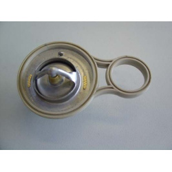 termostatas, aušinimo skystis
                                BorgWarner (Wahler)                                           