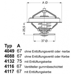termostatas, aušinimo skystis
                                BorgWarner (Wahler)                                           
