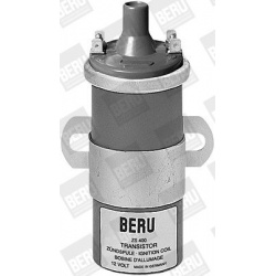 ritė, uždegimas
                                BorgWarner (BERU)                                ZS 400, BorgWarner (BERU),