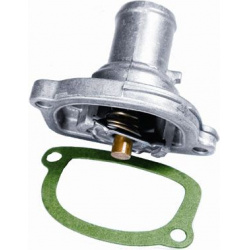 termostatas, aušinimo skystis
                                BorgWarner (Wahler)                                           