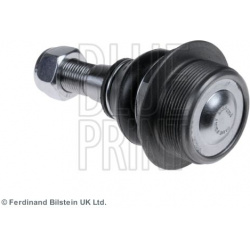 Šarnyras
                                BLUE PRINT                                                ADN186123, BLUE PRINT, AD