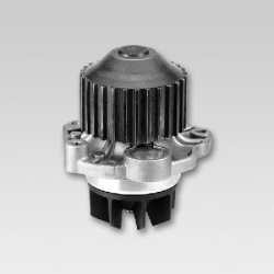 Vandens siurblys, variklio aušinimas
                                HEPU                                                P80