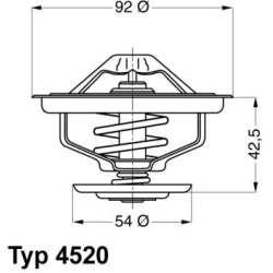 termostatas, aušinimo skystis
                                BorgWarner (Wahler)                                           