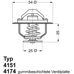 termostatas, aušinimo skystis
                                BorgWarner (Wahler)                                           
