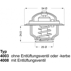 termostatas, aušinimo skystis
                                BorgWarner (Wahler)                                           