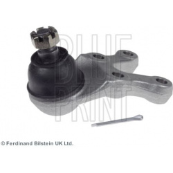 Šarnyras
                                BLUE PRINT                                                ADG08643, BLUE PRINT, ADG