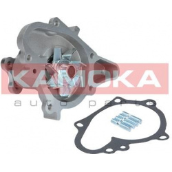 Vandens siurblys, variklio aušinimas
                                KAMOKA                                                T