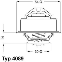 termostatas, aušinimo skystis
                                BorgWarner (Wahler)                                           