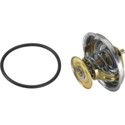 termostatas, aušinimo skystis
                                BorgWarner (Wahler)                                4088.87D, B