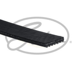 V formos rumbuoti diržai Micro-V®
                                GATES                                7PK1125, GATES, 7PK1