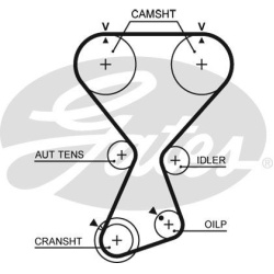 paskirstymo diržas PowerGrip™
                                GATES                                                T313, G