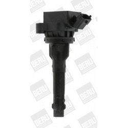 ritė, uždegimas
                                BorgWarner (BERU)                                                ZS 449, Bo