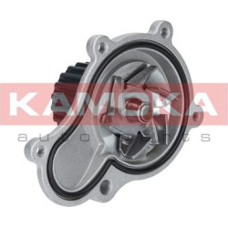 Vandens siurblys, variklio aušinimas
                                KAMOKA                                                T