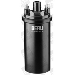 ritė, uždegimas
                                BorgWarner (BERU)                                                ZS 121, Bo