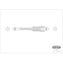stabdžių žarnelė
                                CORTECO                                19036603, CORTECO, 19036603, auto