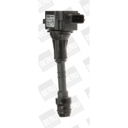 ritė, uždegimas
                                BorgWarner (BERU)                                                ZSE 157, B