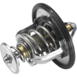 termostatas, aušinimo skystis
                                BorgWarner (Wahler)                                4637.82D, B