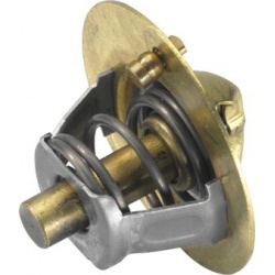 termostatas, aušinimo skystis
                                BorgWarner (Wahler)                                3119.88, Bo